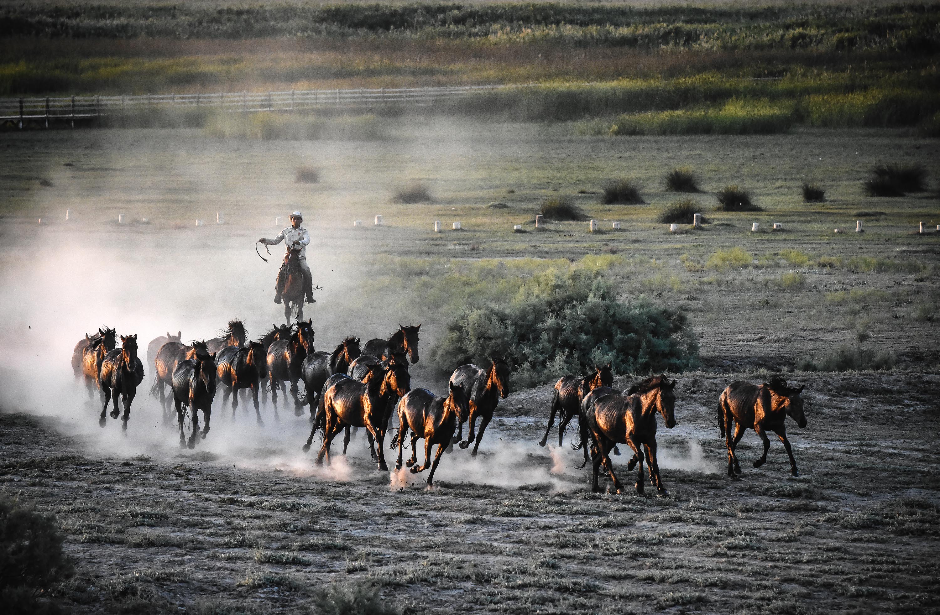 Atlas Tatil, “Sultansazlığı ve Aladağlar Fotosafari”, 2019 Haziran